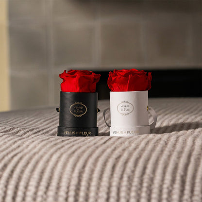 EternaBloom™ - Preserved Rose Box