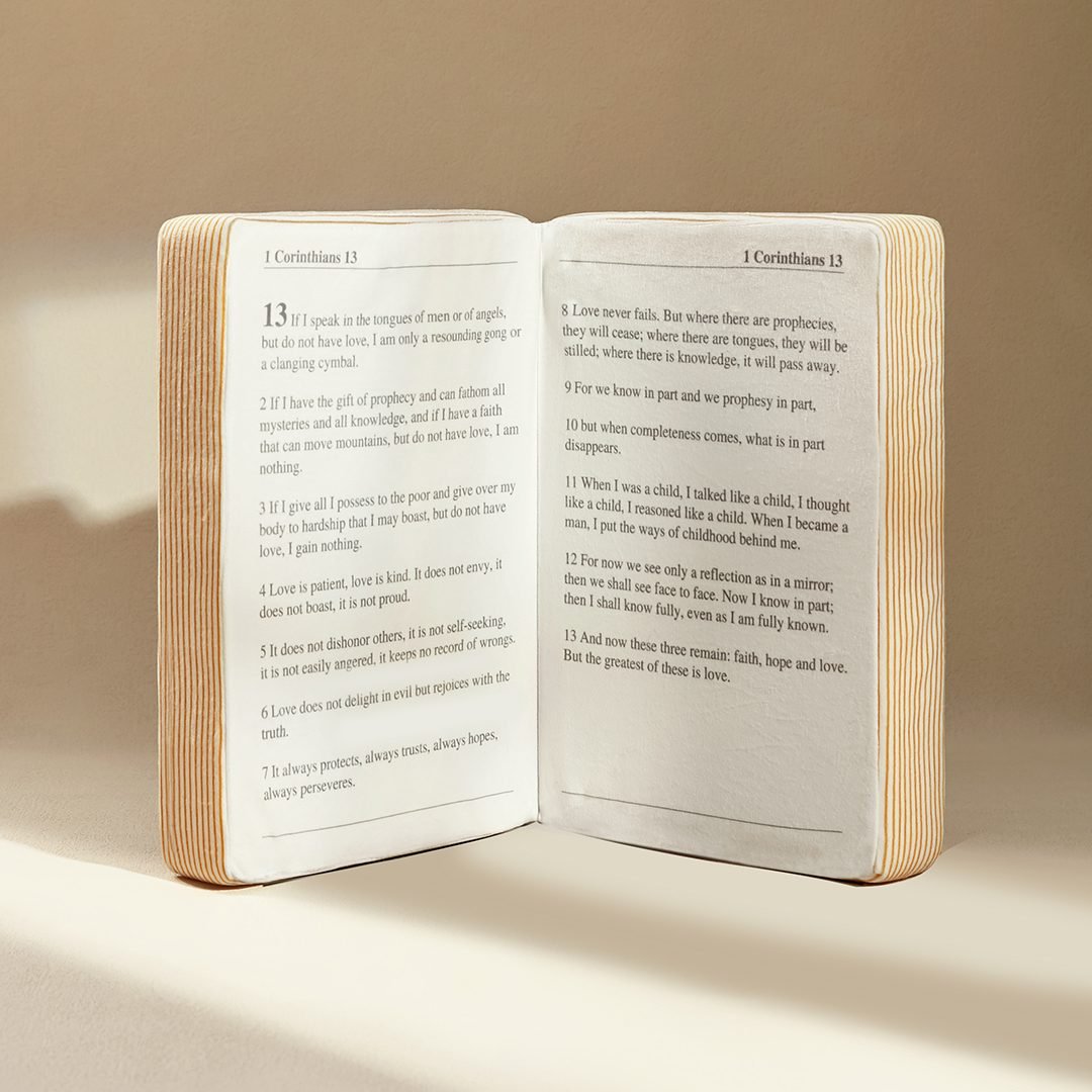 The Bible Pillow