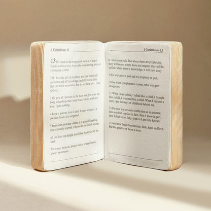 The Bible Pillow